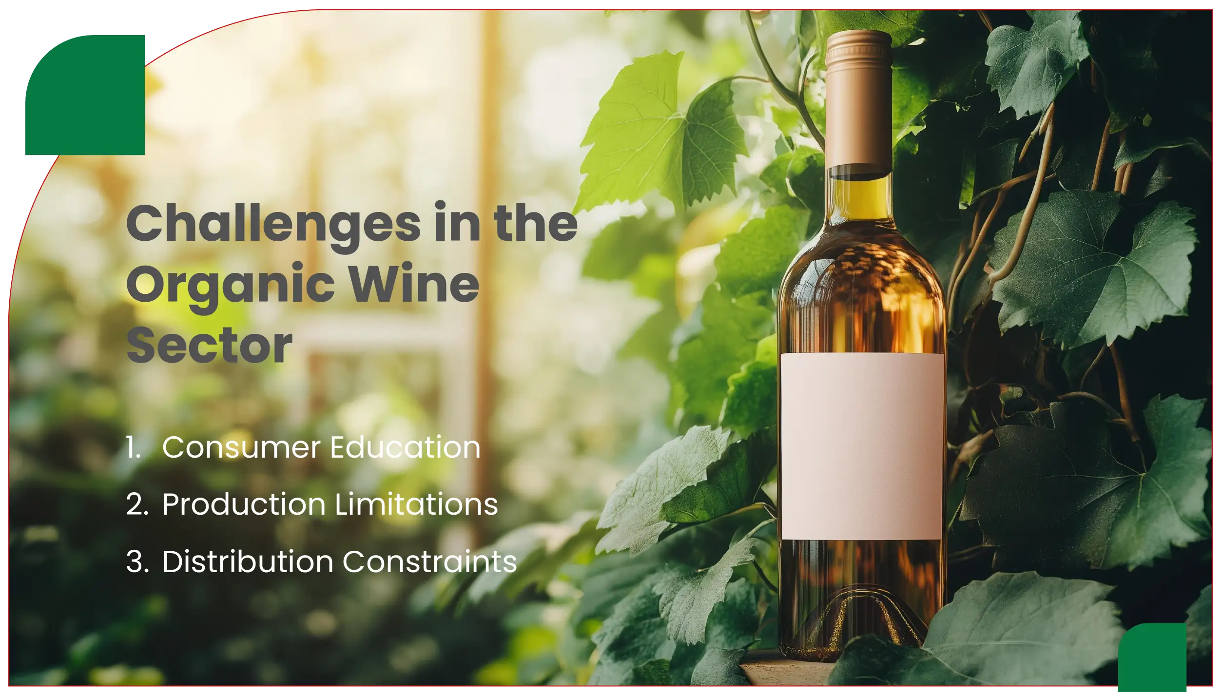 Challenges in the Organic Wine Sector